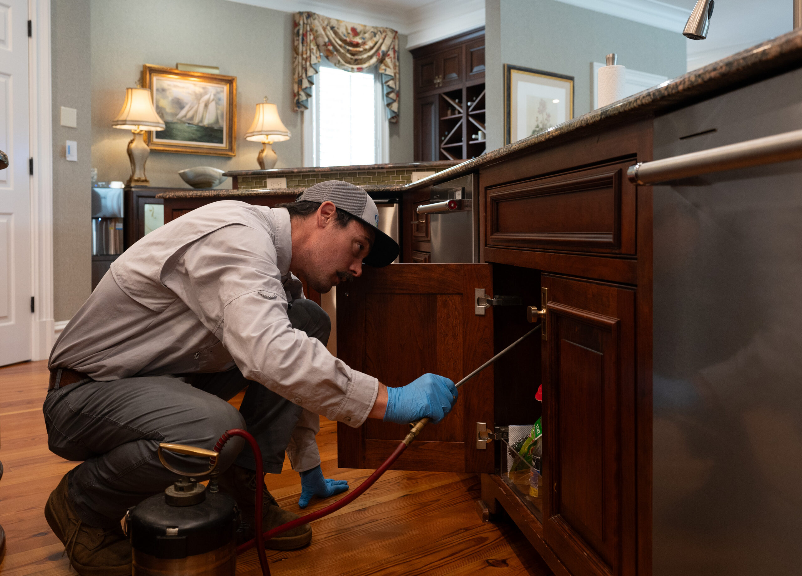 Termite Protection Myrtle Beach
